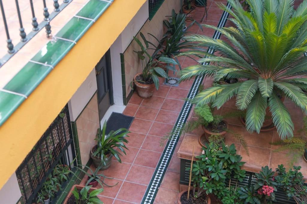Apartamento Junto A Las Setas De Sevilla エクステリア 写真
